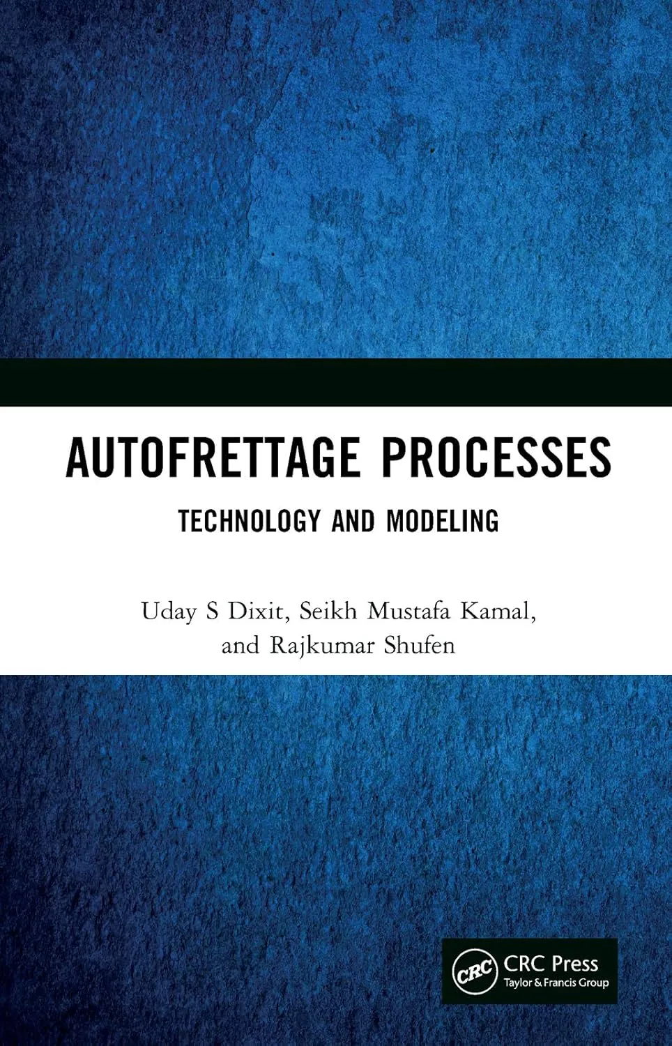 Autofrettage Processes Technology and Modeling | Hardcover