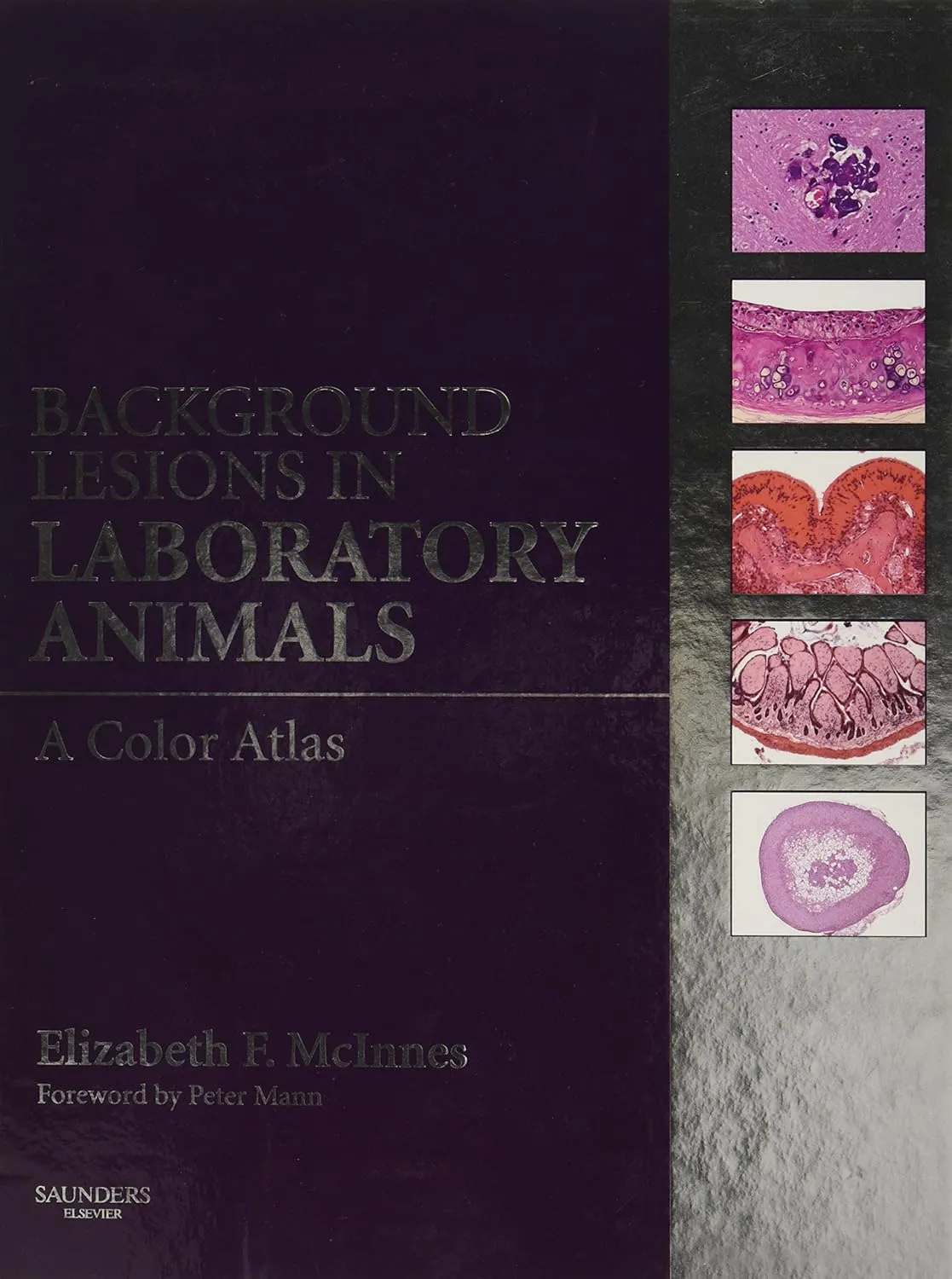 Background Lesions in Labortory Animals A Color Atlas | Hardcover