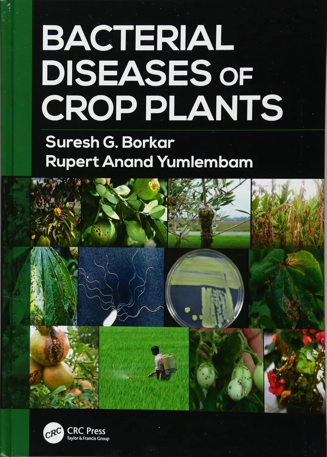 Bacterial Diseases of Crop Plants | Hardcover