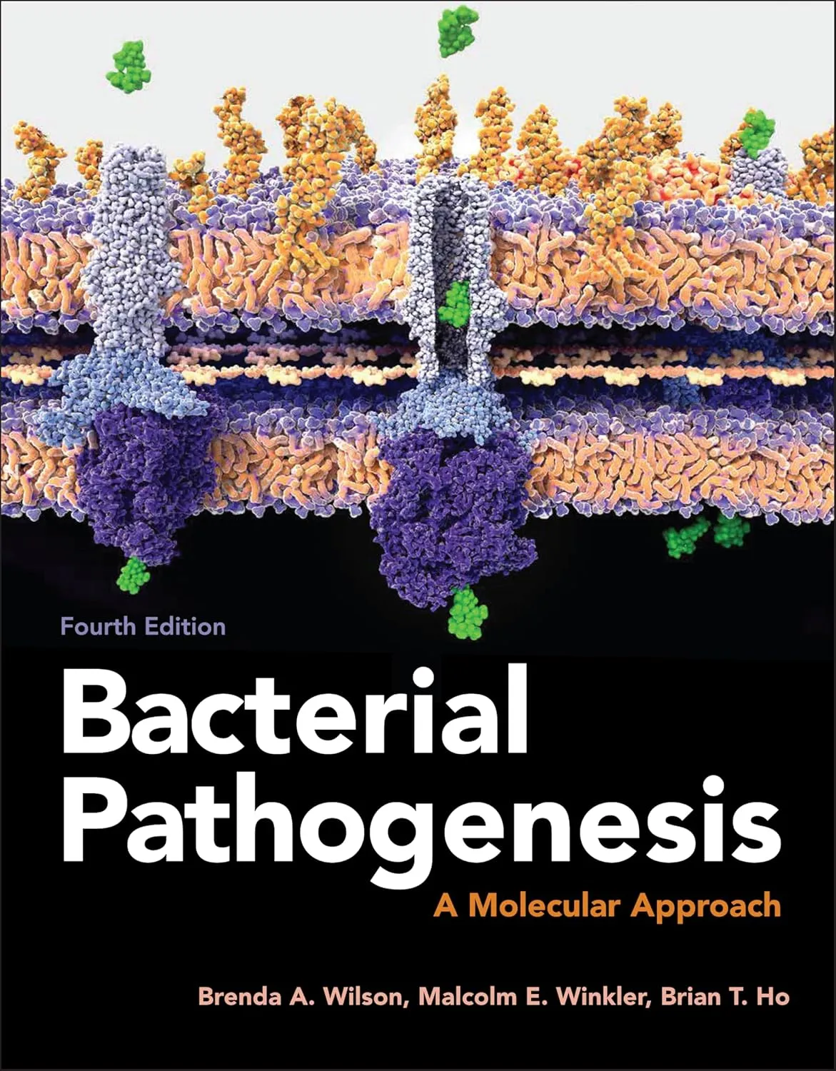 Bacterial Pathogenesis A Molecular Approach 4th Edition | Paperback