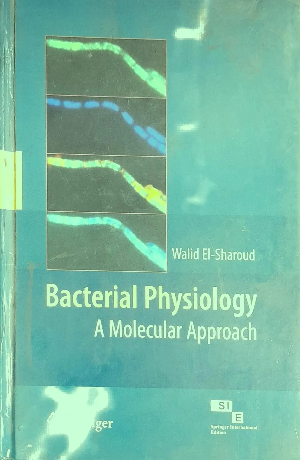 Bacterial Physiology A Molecular Approach | Hardcover