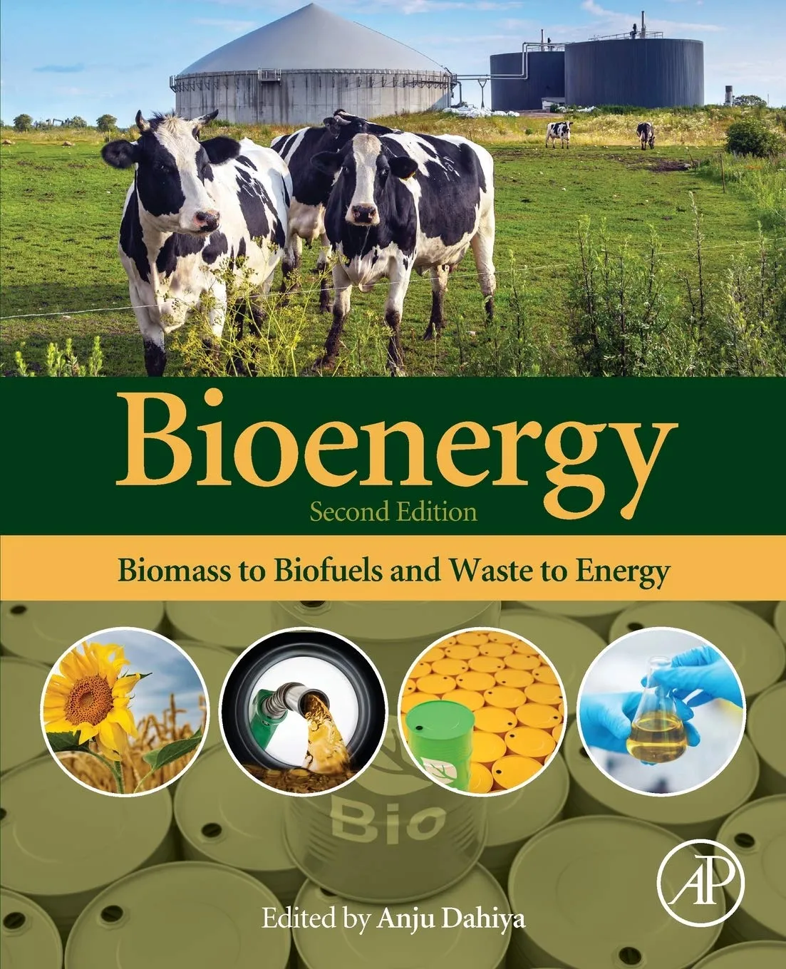 Bioenergy Biomass To Biofuels And Waste To Energy 2nd Edition | Paperback