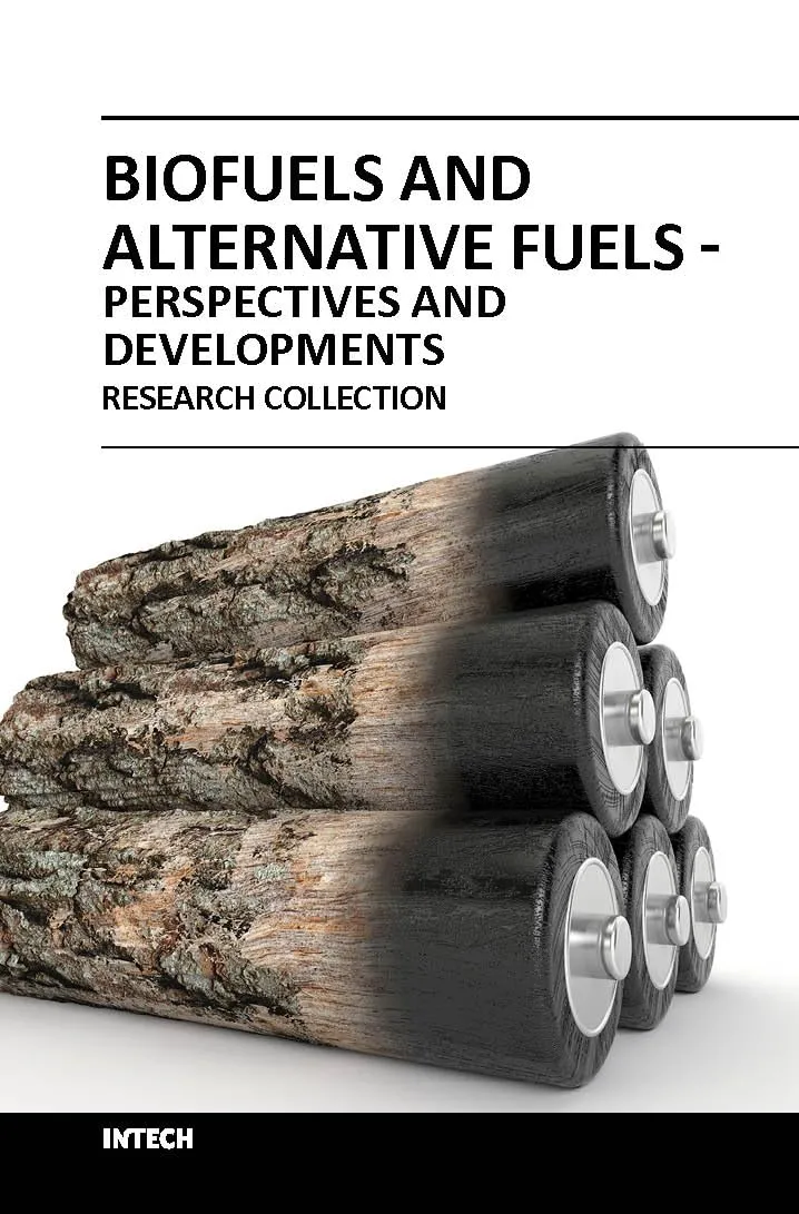Biofuels and Alternative Fuels Perspectives and Developments | Hardcover