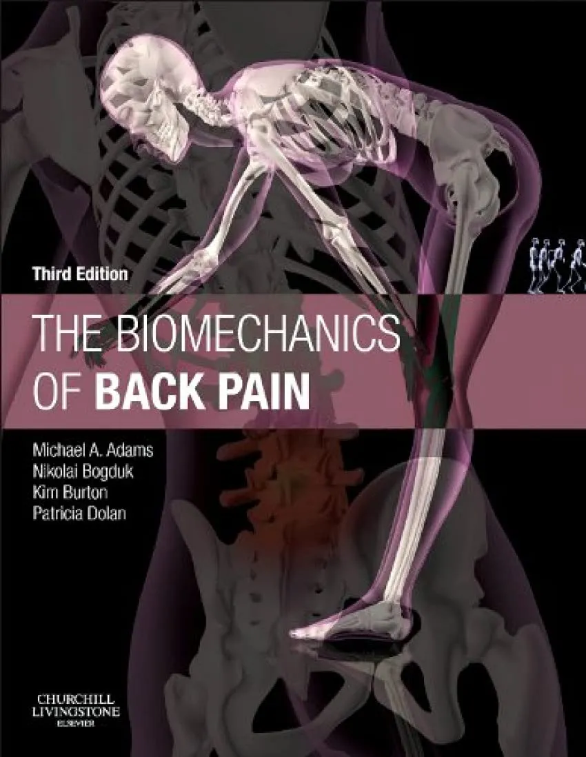 The Biomechanics of Back Pain | Third Edition | Paperback