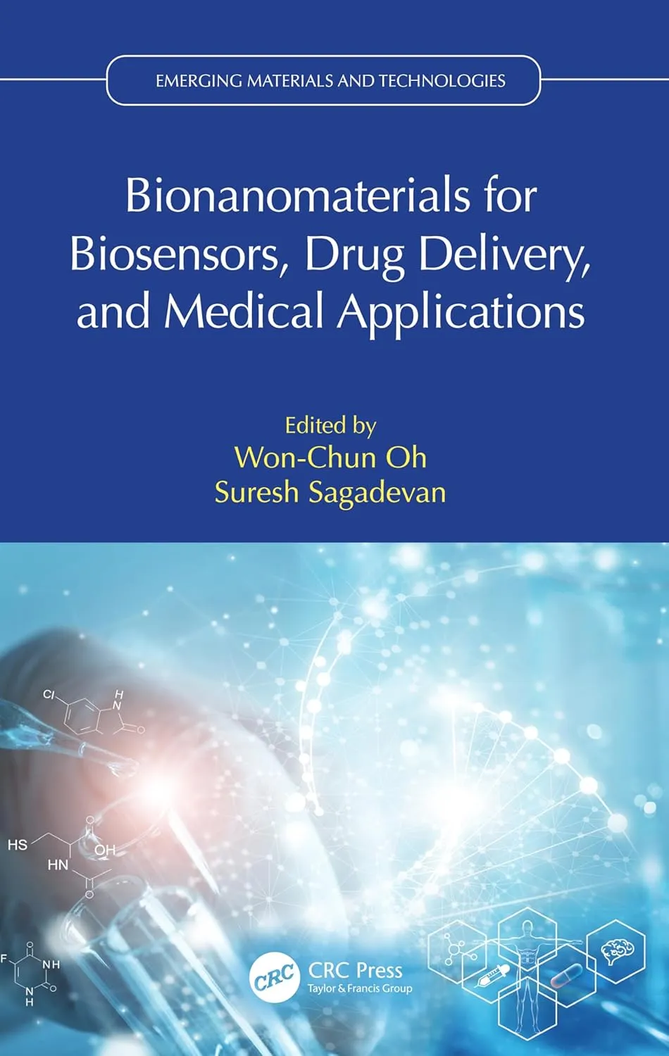 Bionanomaterials For Biosensors Drug Delivery And Medical Applications | Hardcover