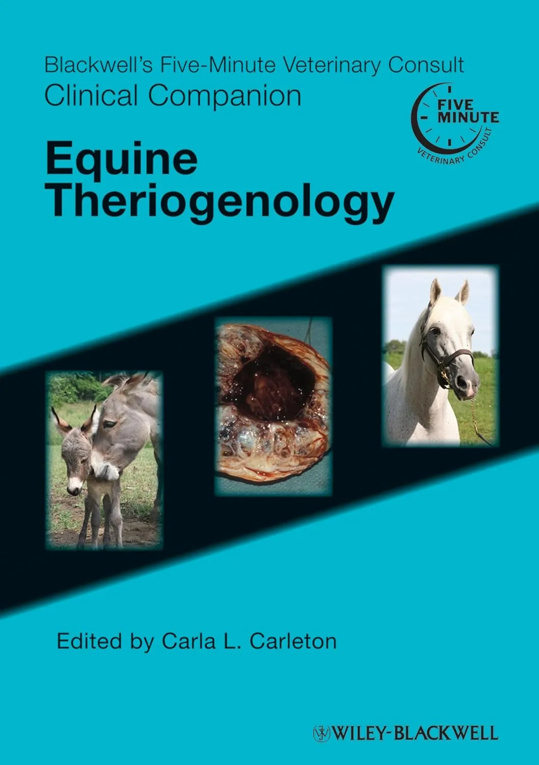 Blackwell's Five-Minute Veterinary Consult Clinical Companion Equine Theriogenology | Paperback