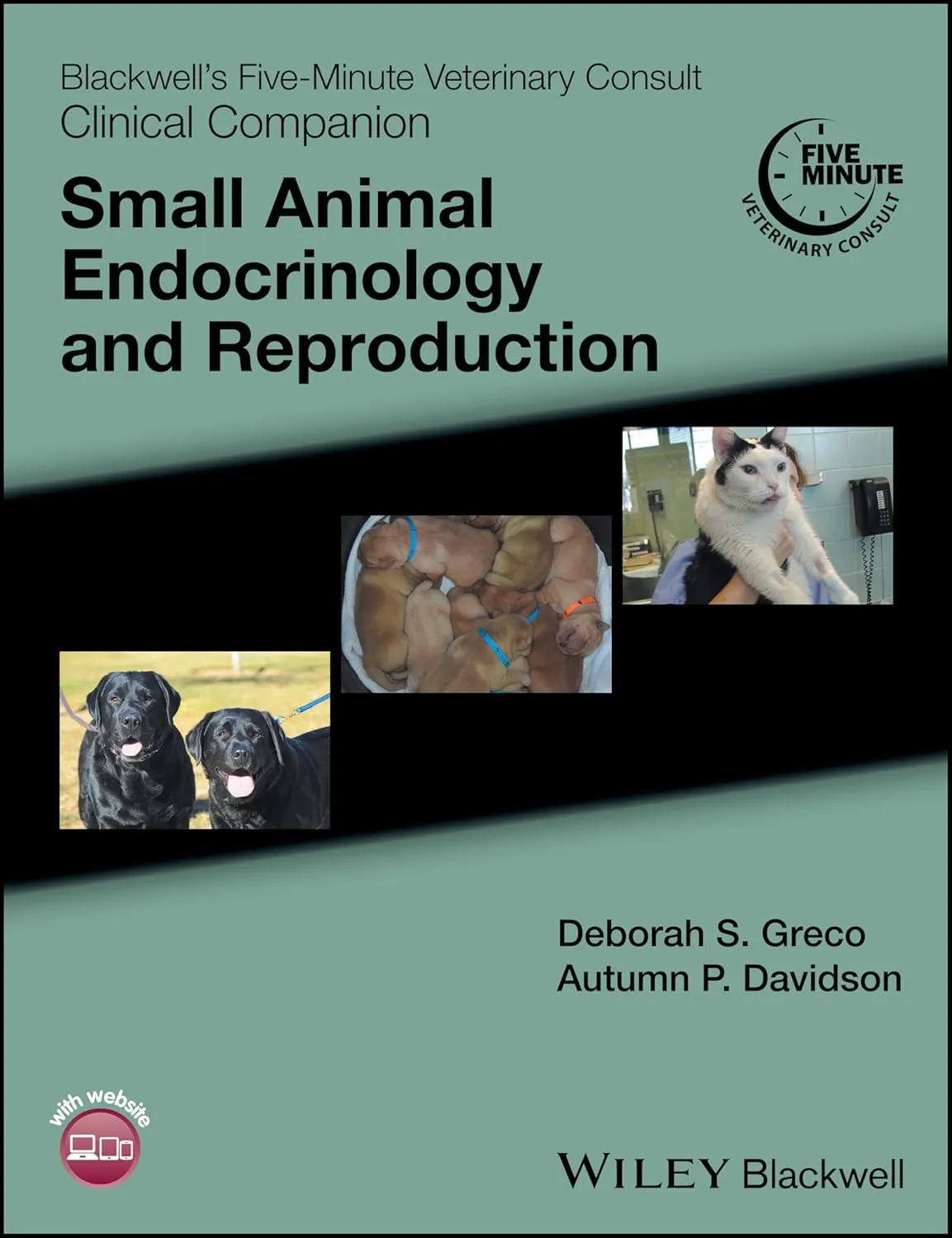 Blackwell's Five-Minute Veterinary Consult Clinical Companion Small Animal Endocrinology and Reproduction | Paperback