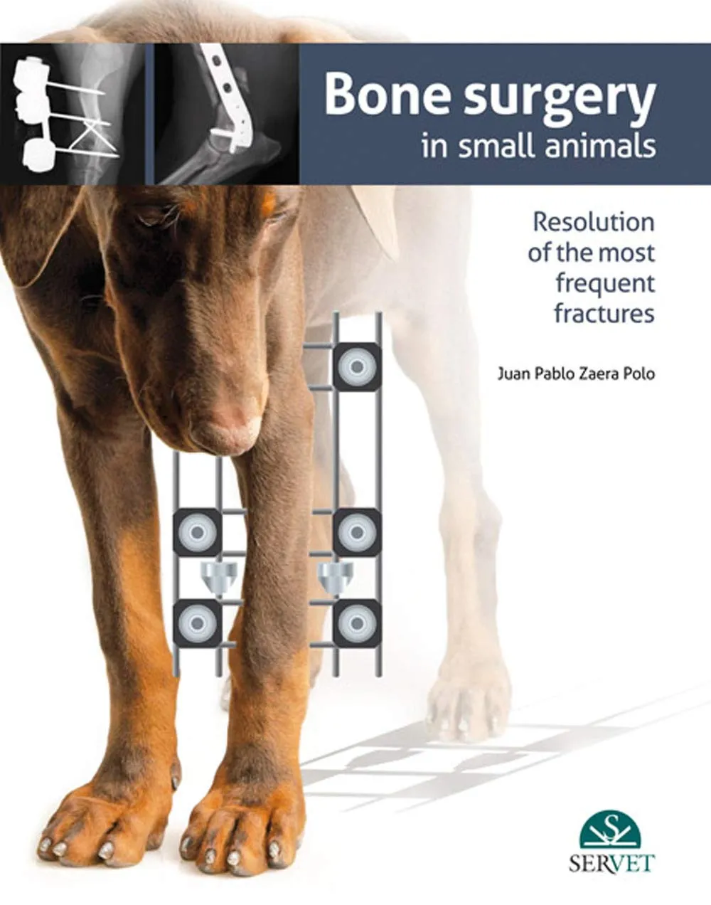 Bone Surgery in Small Animals | Hardcover