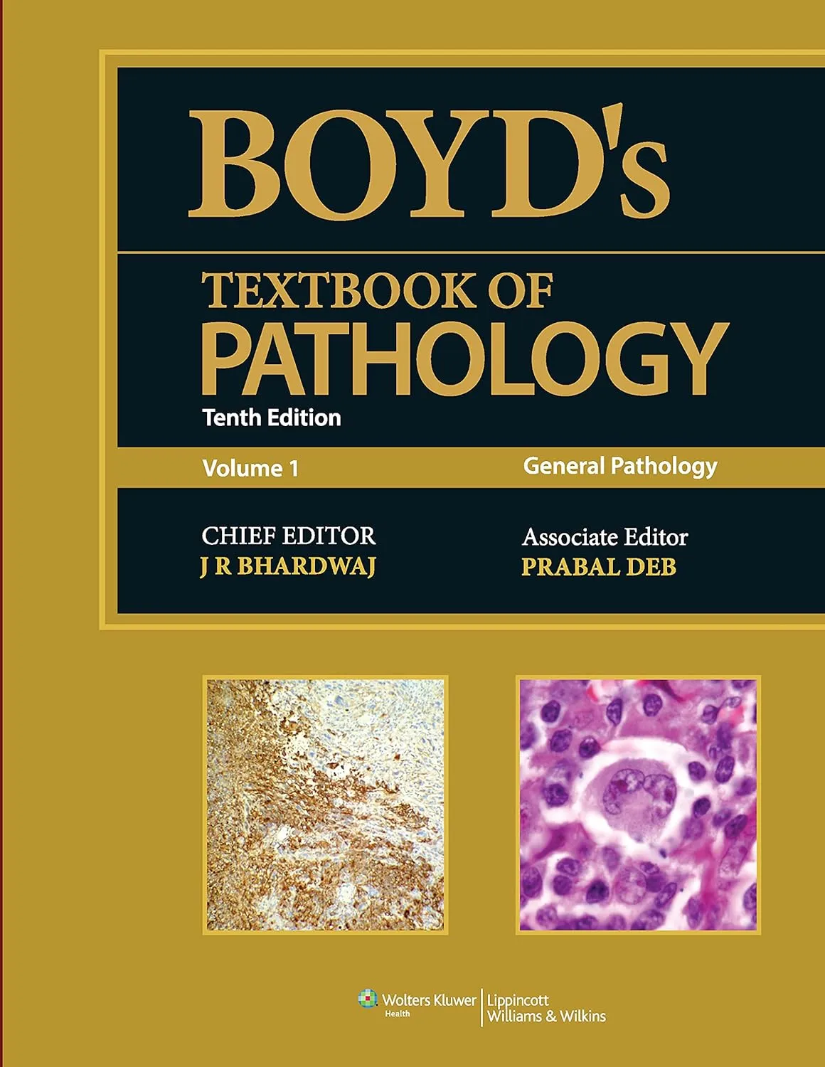 Boyd's Textbook of Pathology | 10th Edition | 2 Volume Set | Paperback