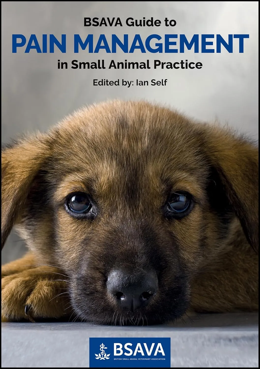 Bsava Guide To Pain Management In Small Animal Practice | Paperback