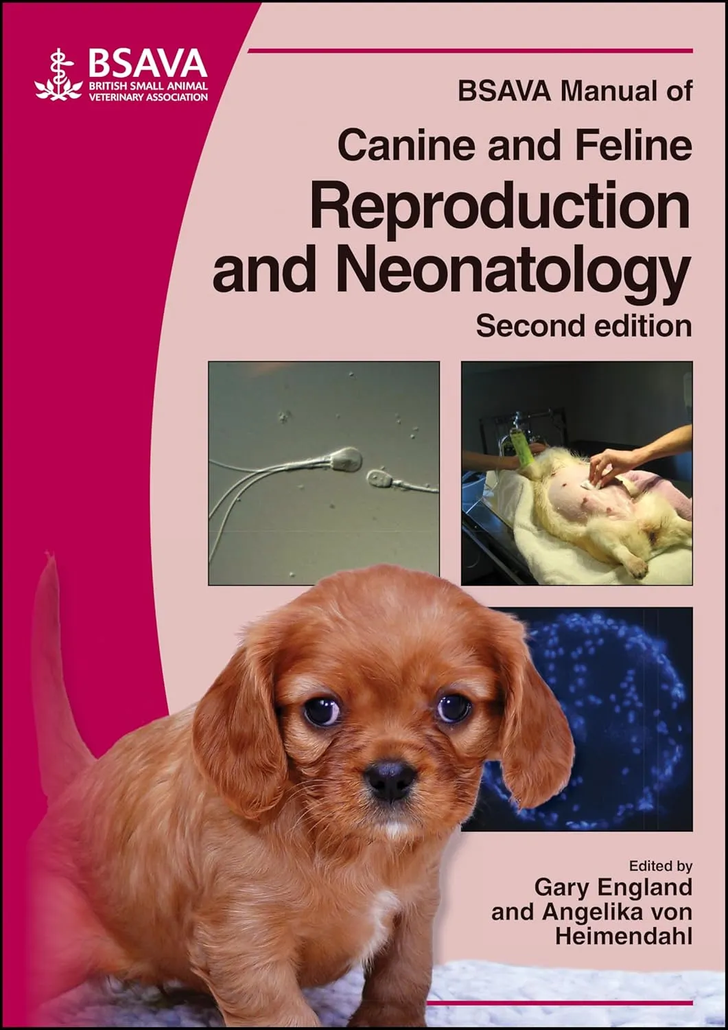 BSAVA Manual of Canine and Feline Reproduction and Neonatology | 2nd Edition | Paperback