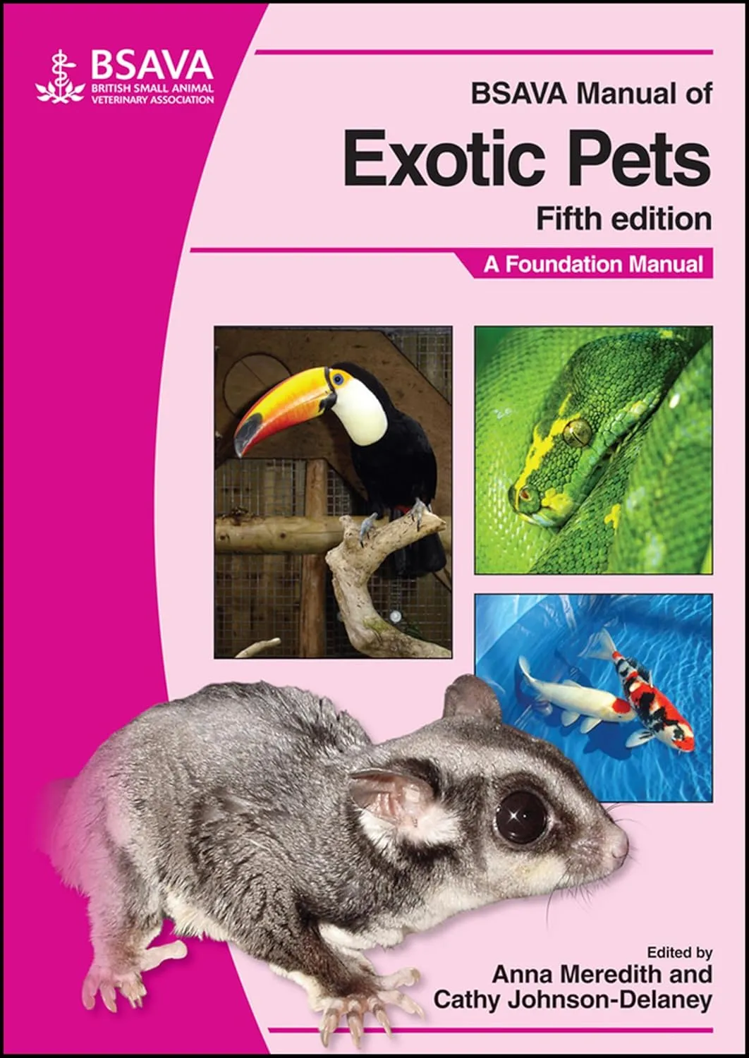 BSAVA Manual of Exotic Pets A Foundation Manual | 5th Edition | Paperback