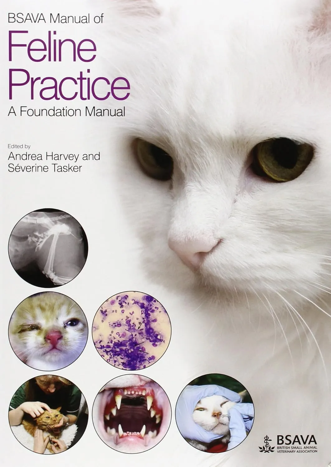 BSAVA Manual of Feline Prctice A Foundation Manual | Paperback