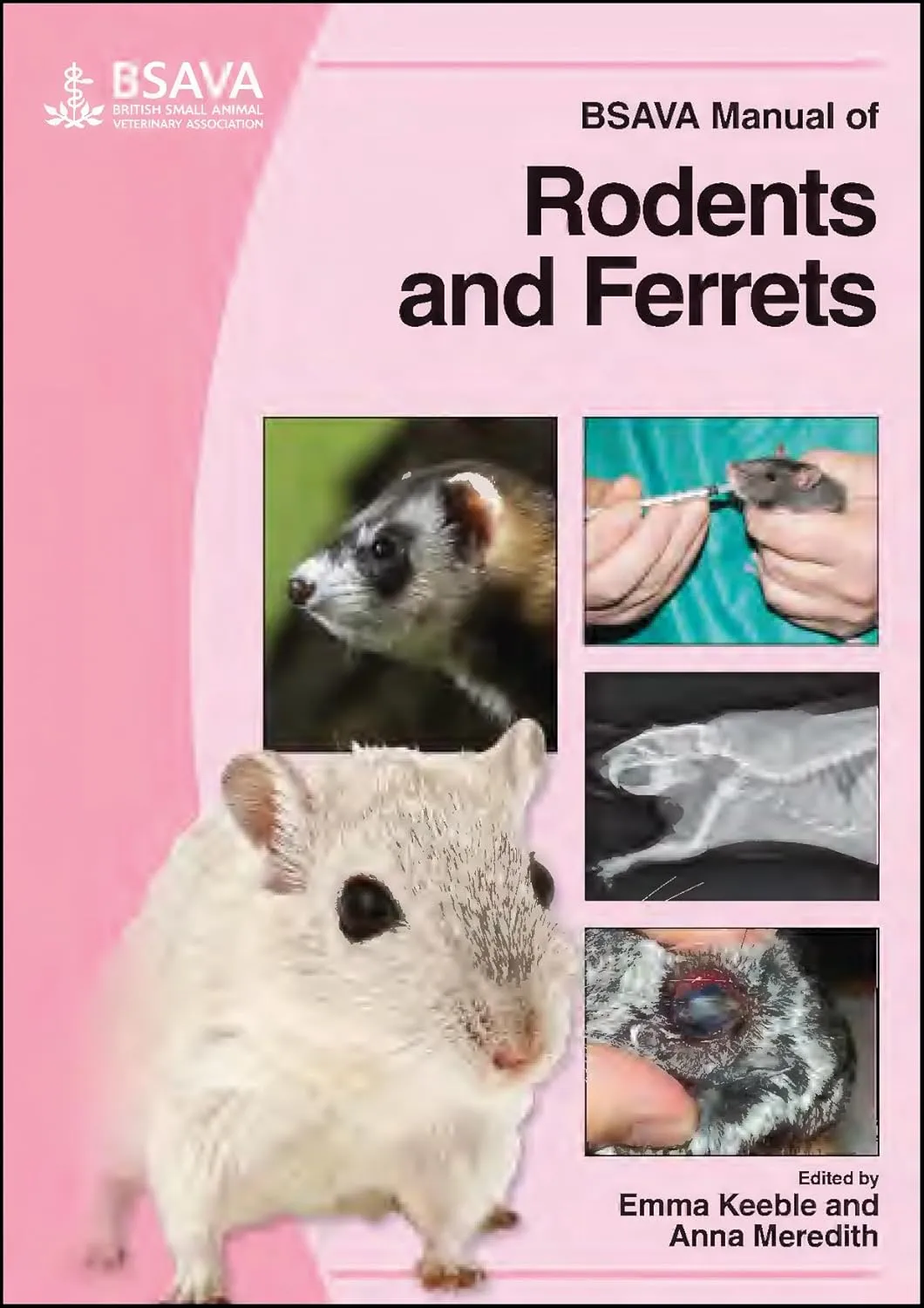 BSAVA Manual of Rodents and Ferrets | Paperback