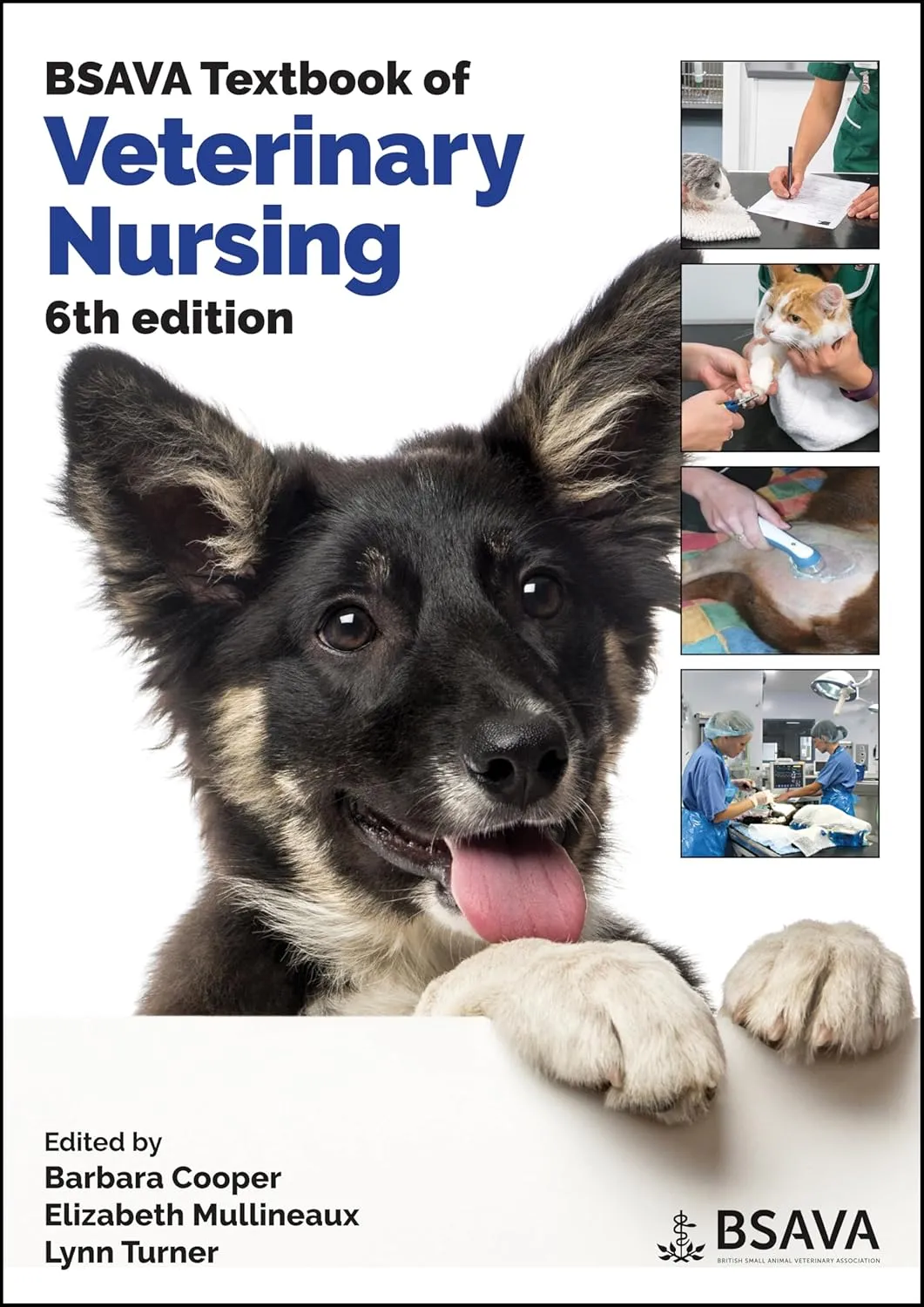 Bsava Textbook Of Veterinary Nursing 6th Edition | Paperback