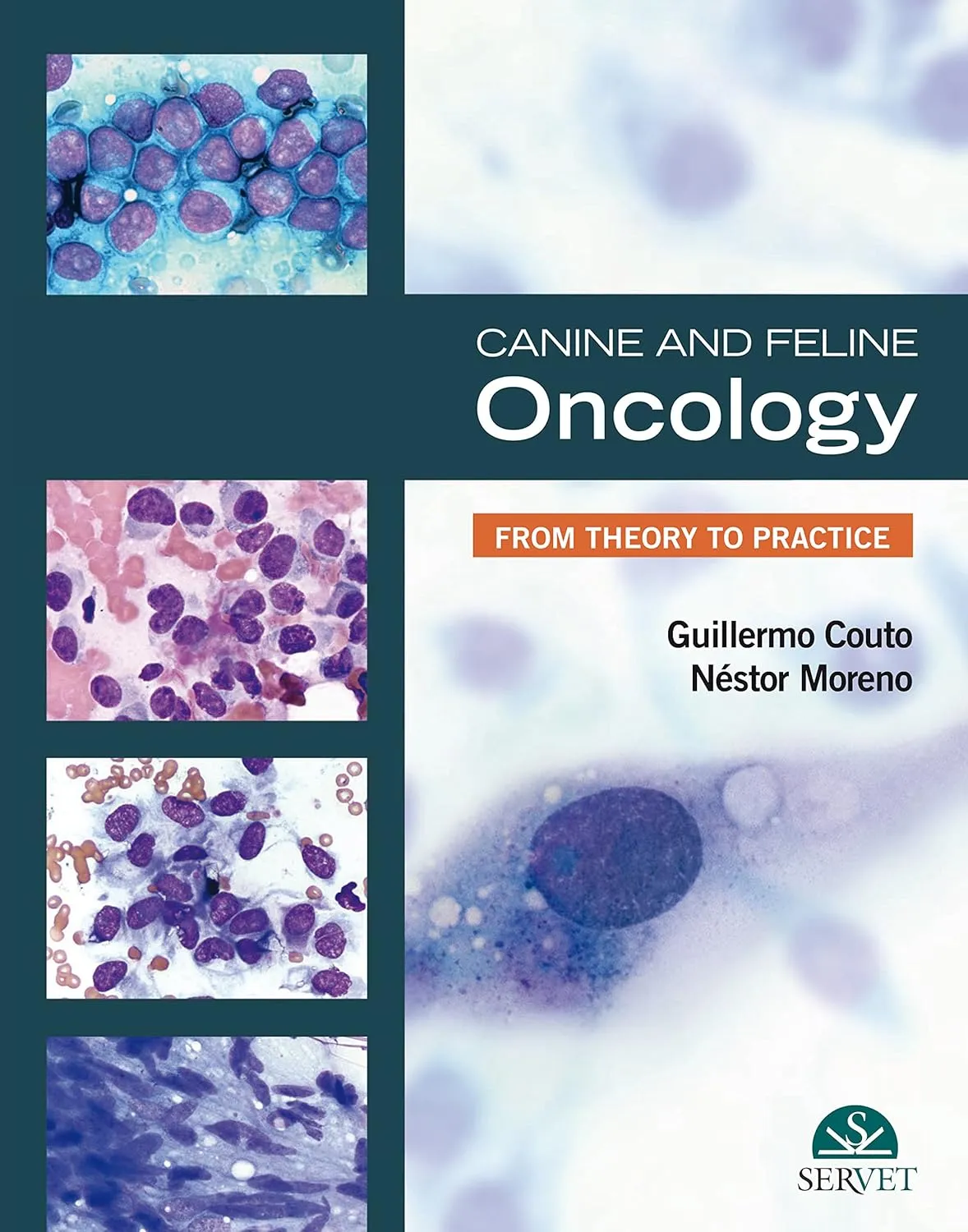 Canine and Feline Oncology From Theory to Practice | Hardcover