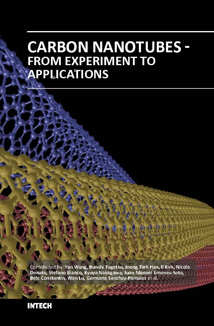 Carbon Nanotubes From Experiment To Applications | Hardcover