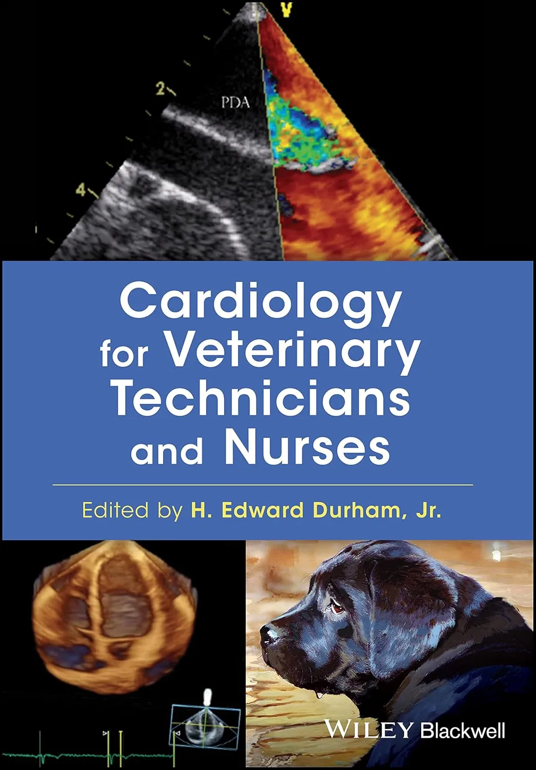 Cardiology for Veterinary Technicians and Nurses | Paperback