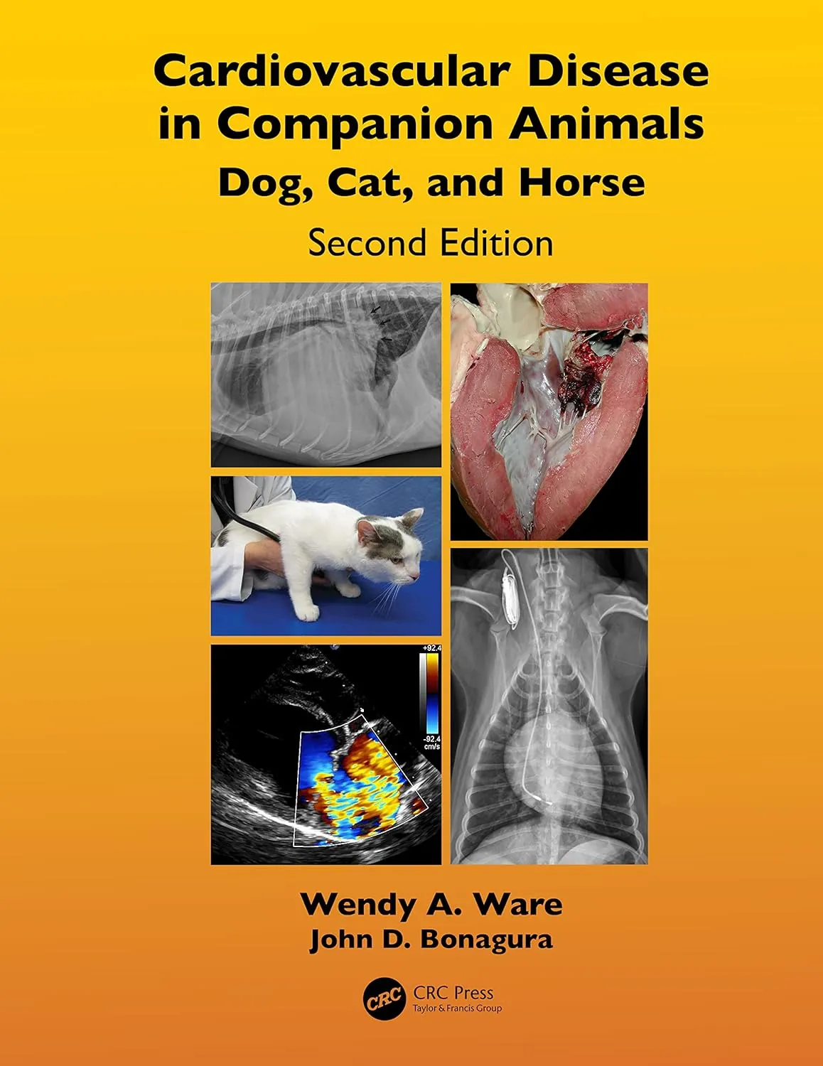 Cardiovascular Disease In Companion Animals Dog Cat And Horse 2nd Edition | Hardcover