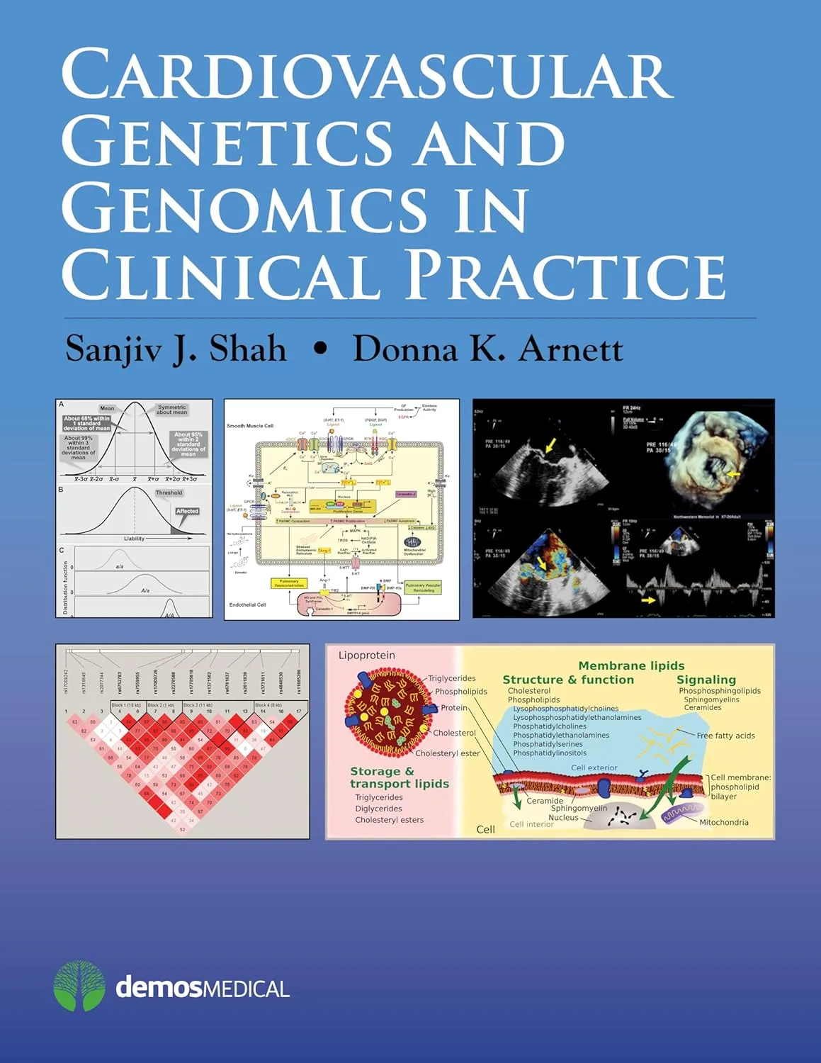 Cardiovascular Genetics and Genomics in Clinical Practice | Paperback