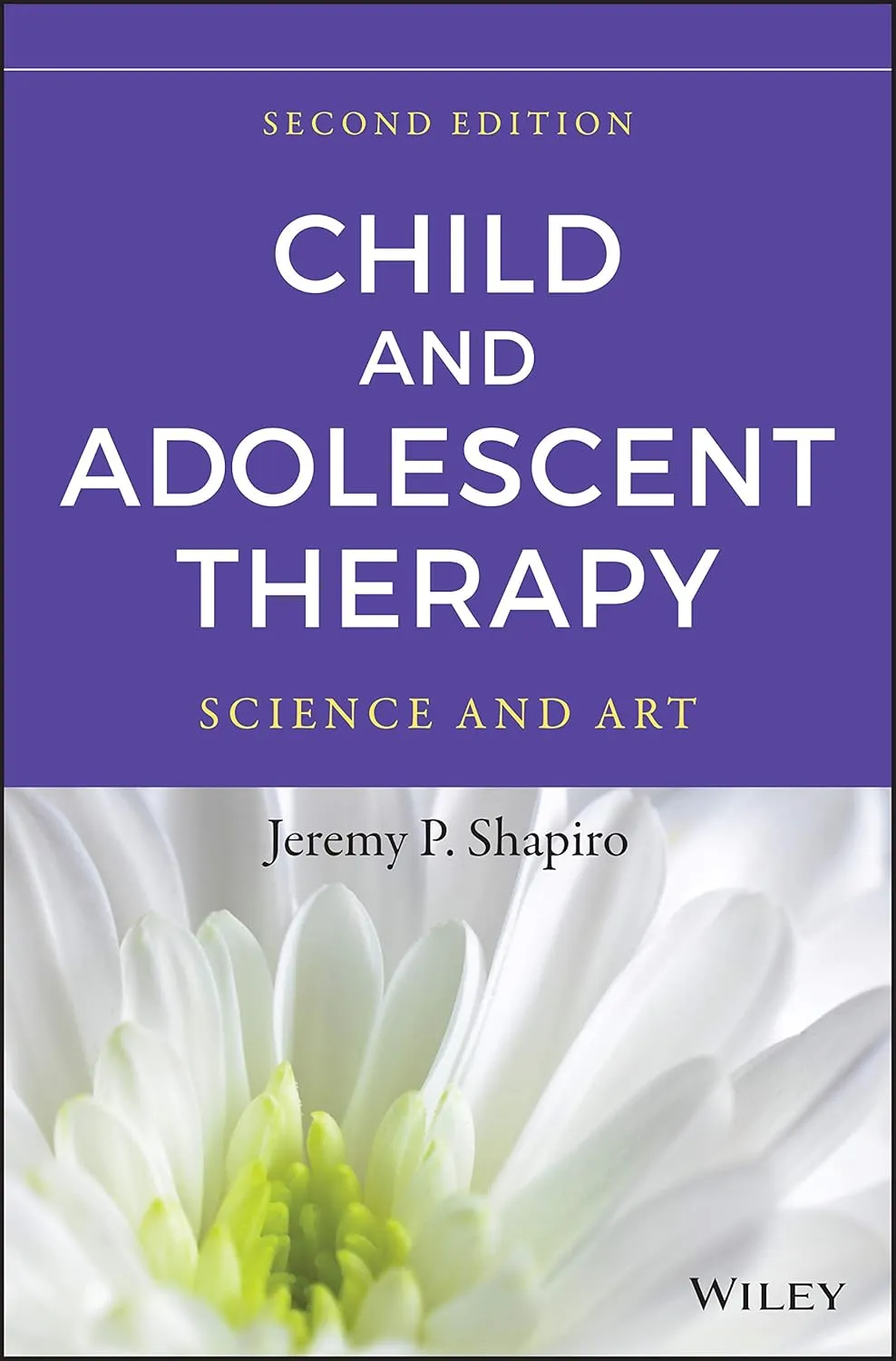 Child and Adolescent Therapy Science and Art | 2nd Edition | Hardcover