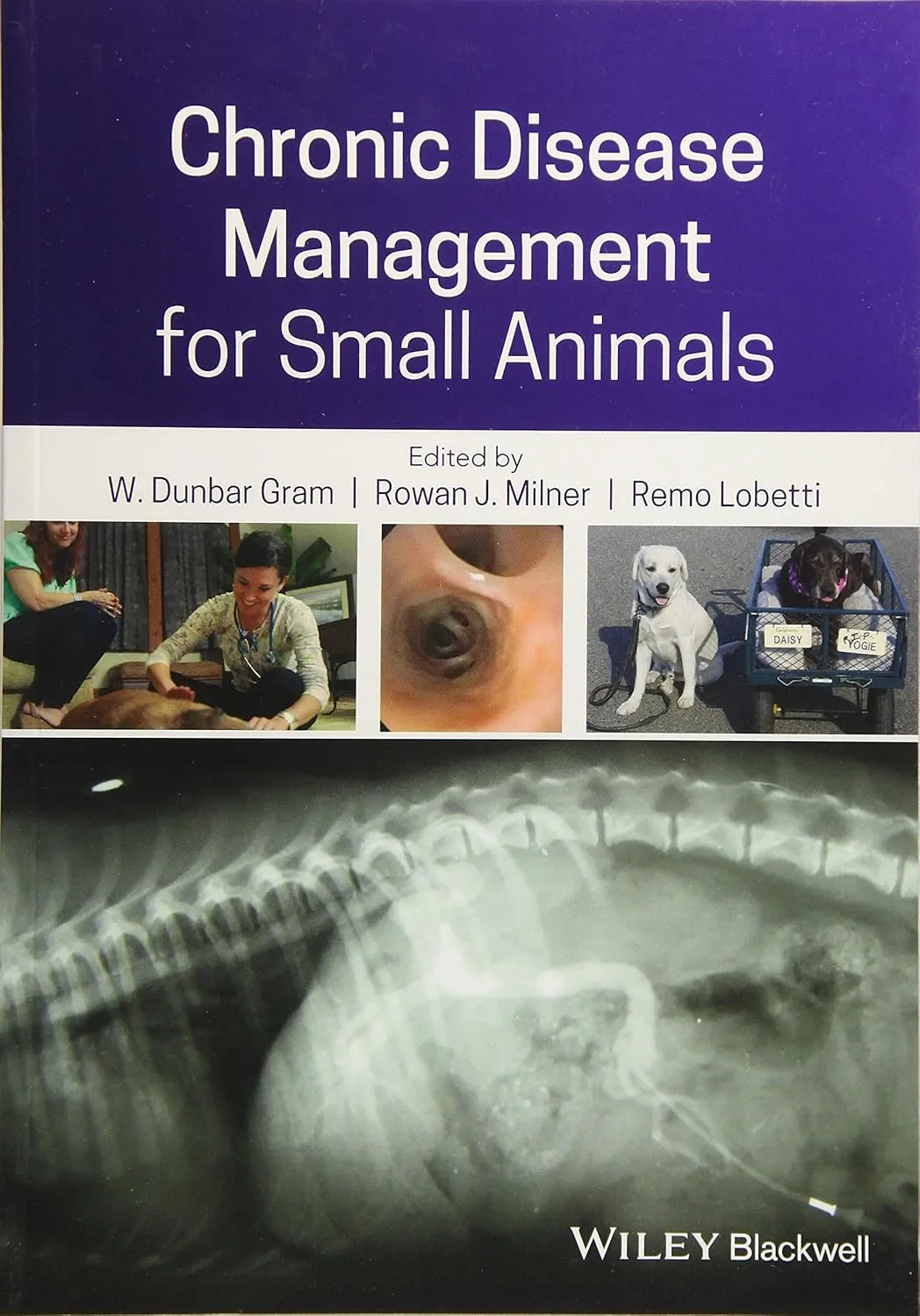 Chronic Disease Management for Small Animals | Paperback