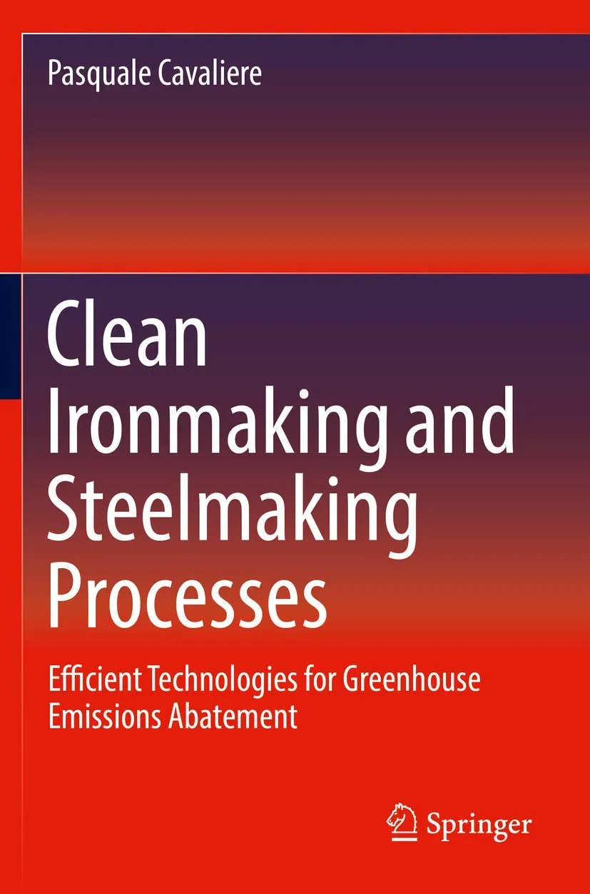 Clean Ironmaking And Steelmaking Processes | Paperback