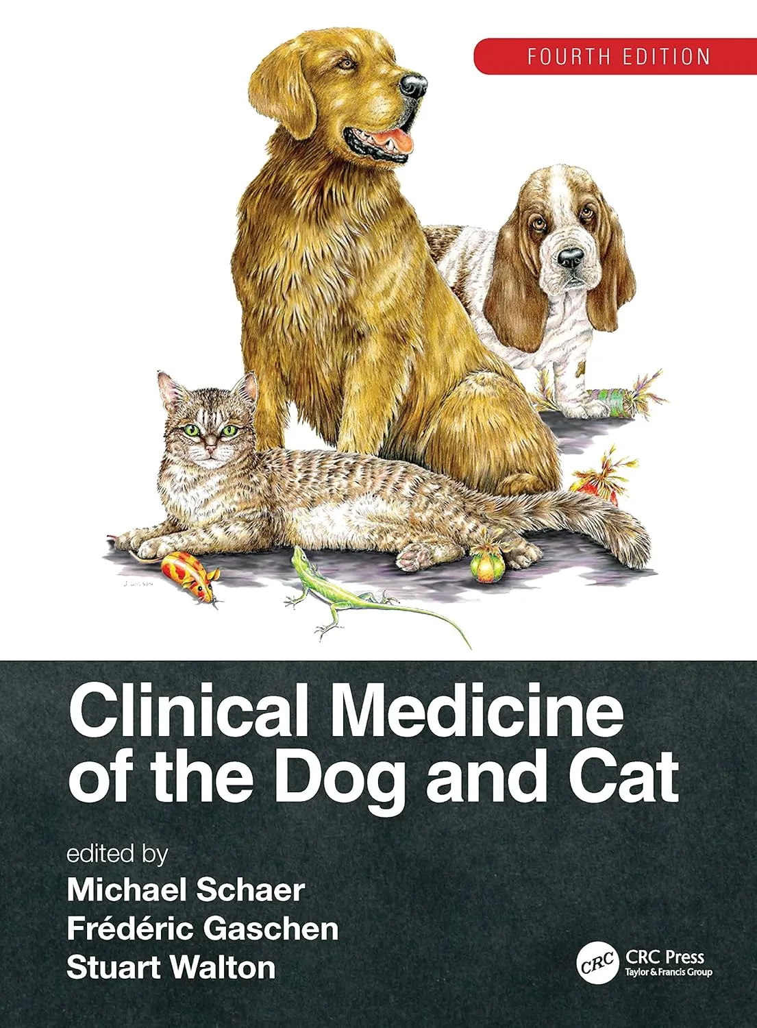 Clinical Medicine Of The Dog And Cat 4th Edition | Hardcover