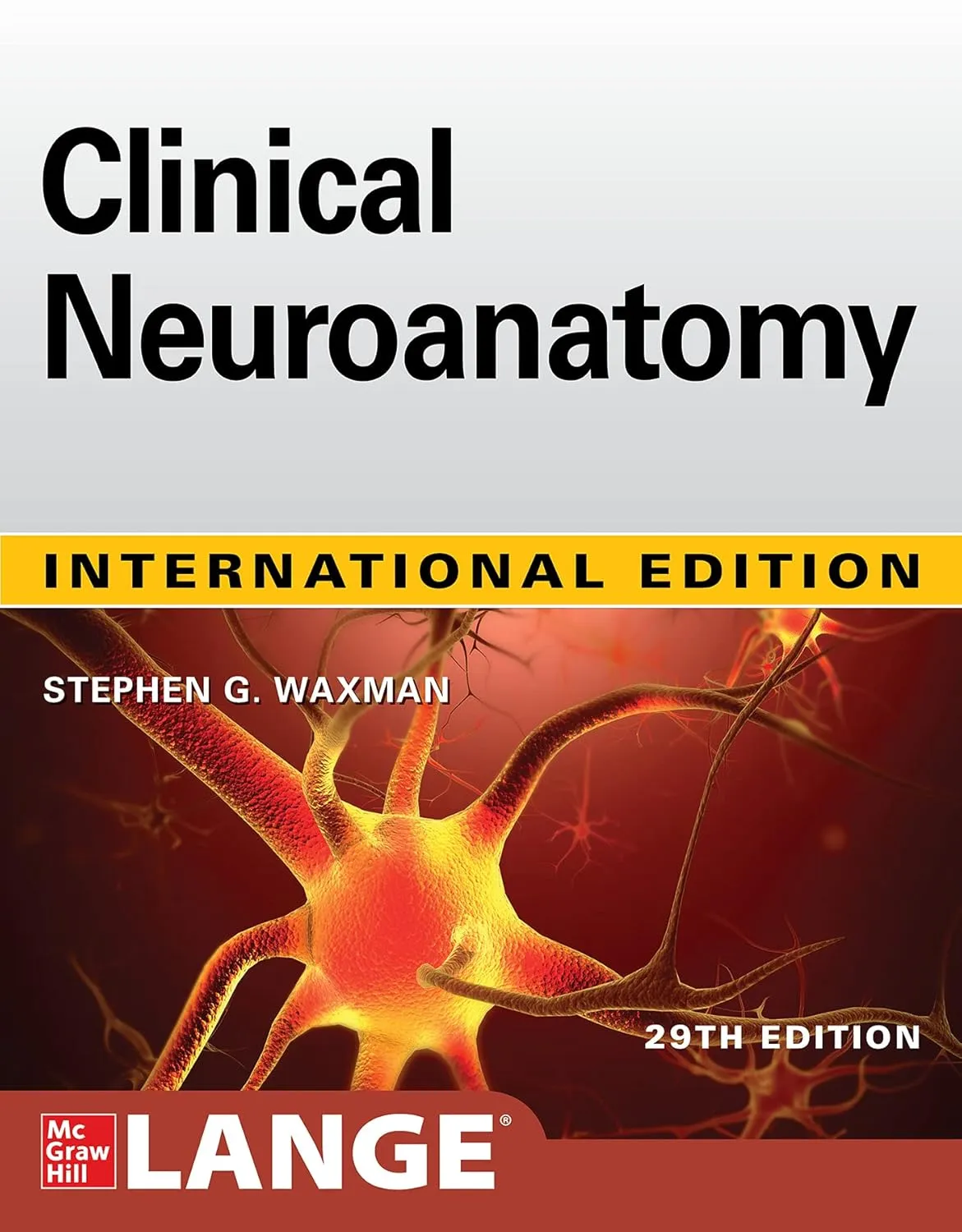 Clinical Neuroanatomy | 29E (Ie) | Paperback