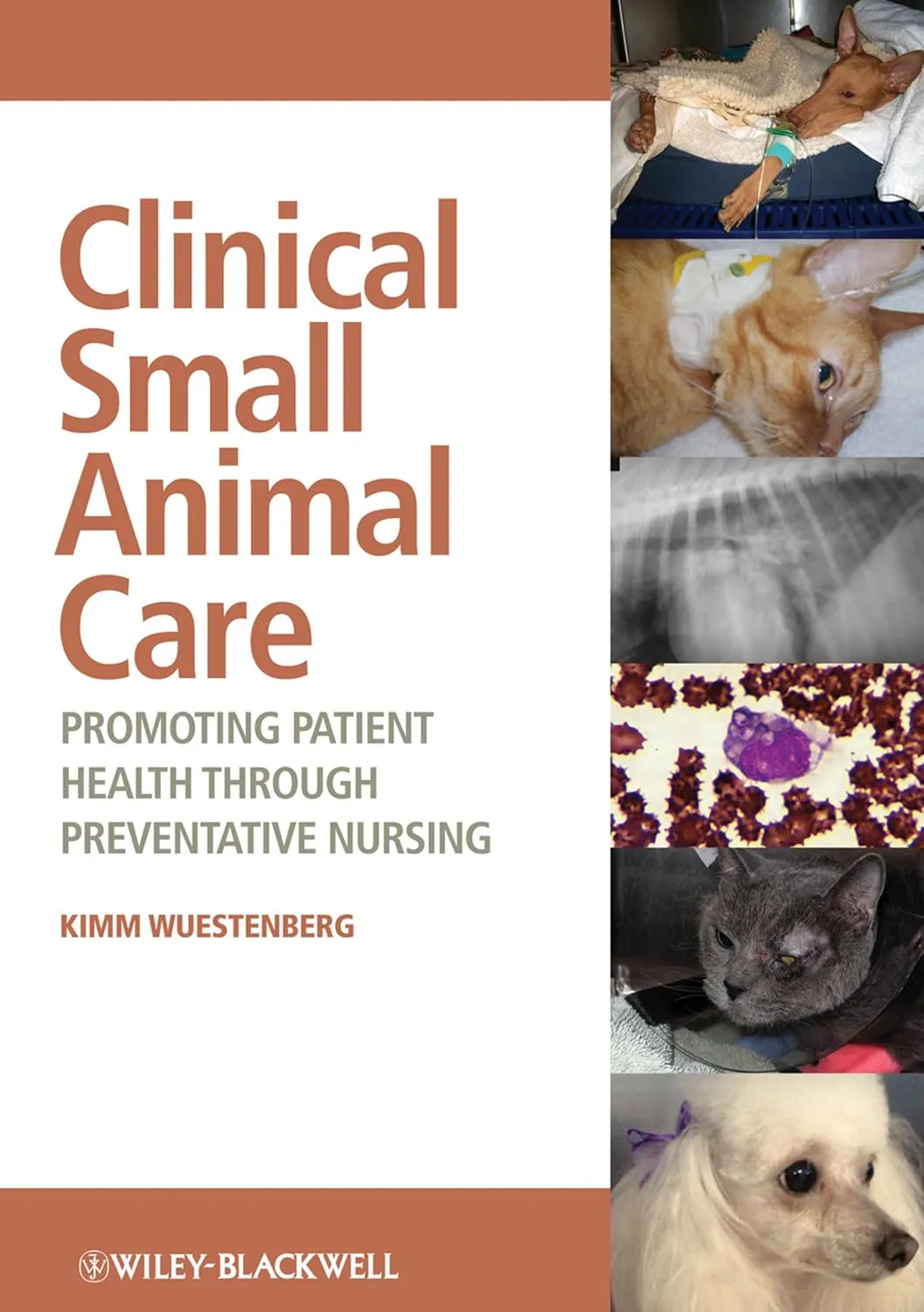 Clinical Small Animal Care | Paperback