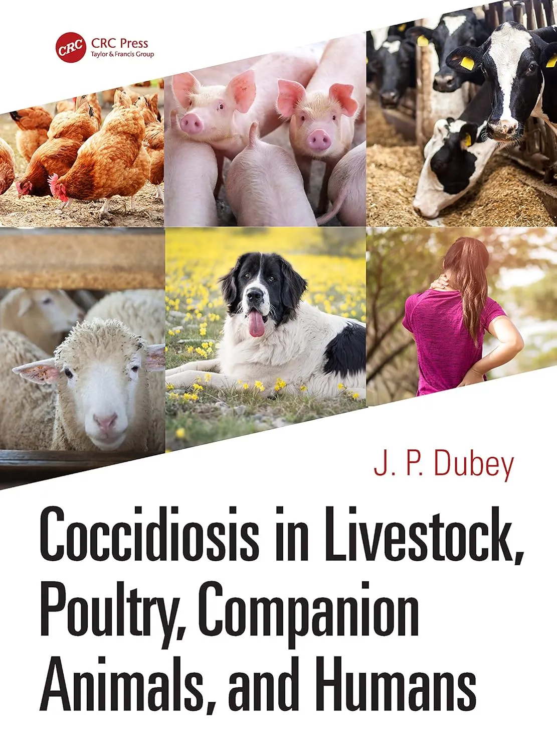 Coccidiosis in Livestock | Poultry | Companion Animals | and Humans | Hardcover