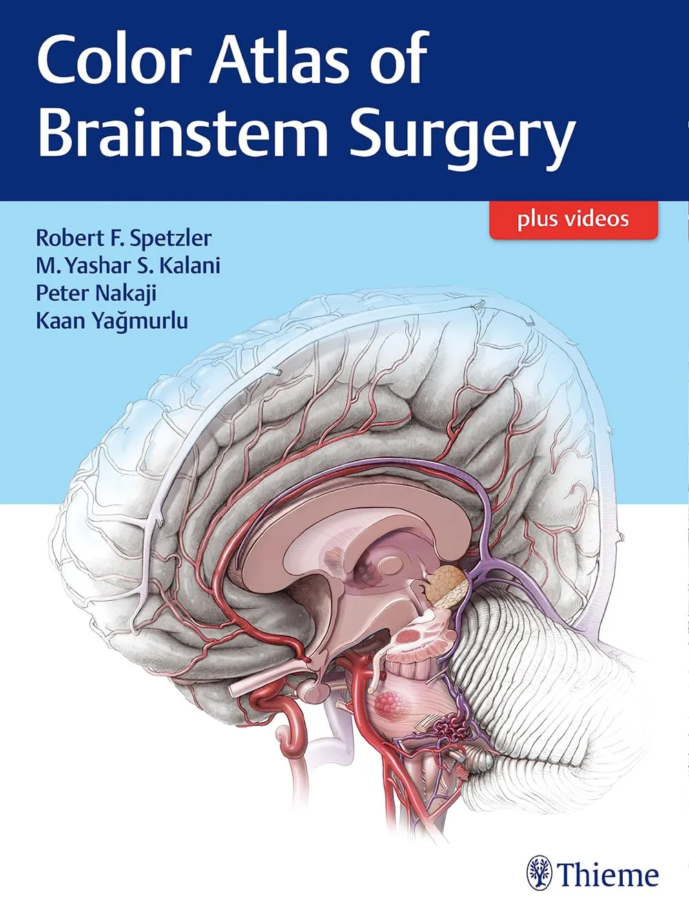 Color Atlas of Brainstem Surgery | Hardcover