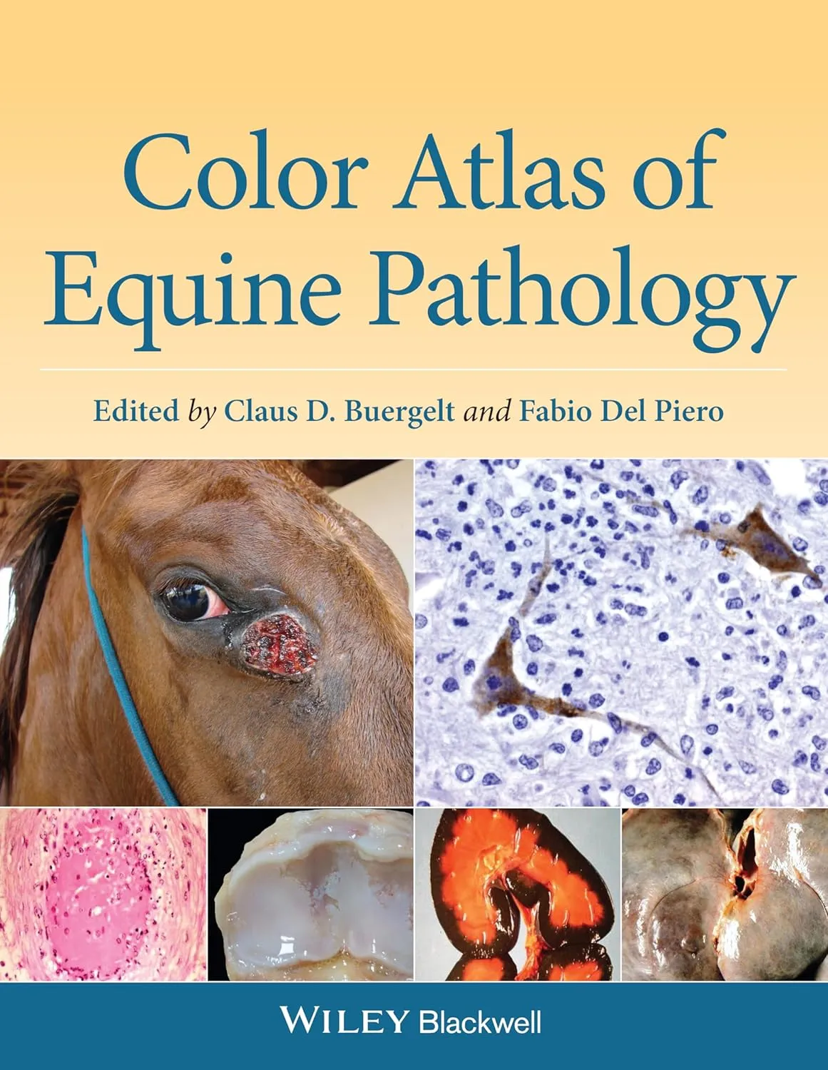 Color Atlas of Equine Pathology | Hardcover