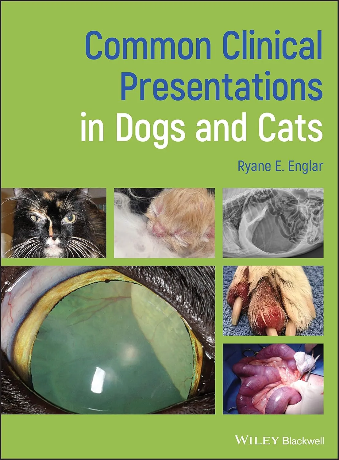 Common Clinical Presentations In Dogs And Cats | Hardcover