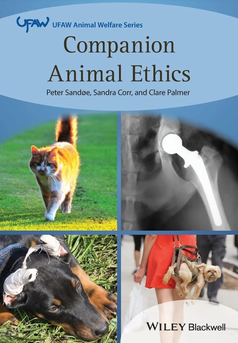 Companion Animal Ethics | Paperback