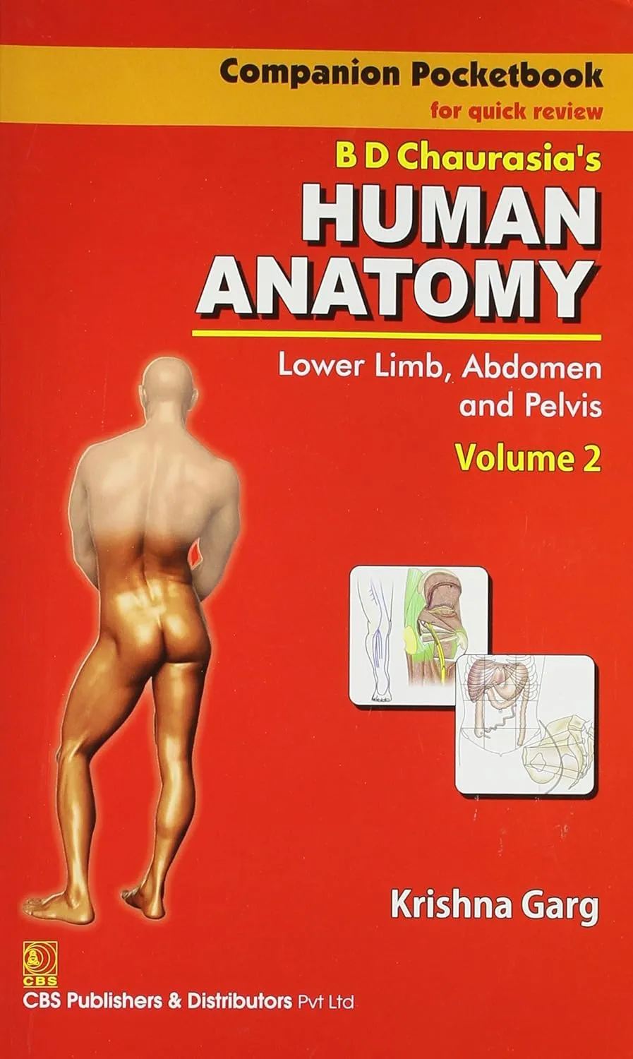 Companion Pocketbook for Quick Review B.D. Chaurasia's Human Anatomy Lower Limb | Abdomen and Pelvis | Volume 2