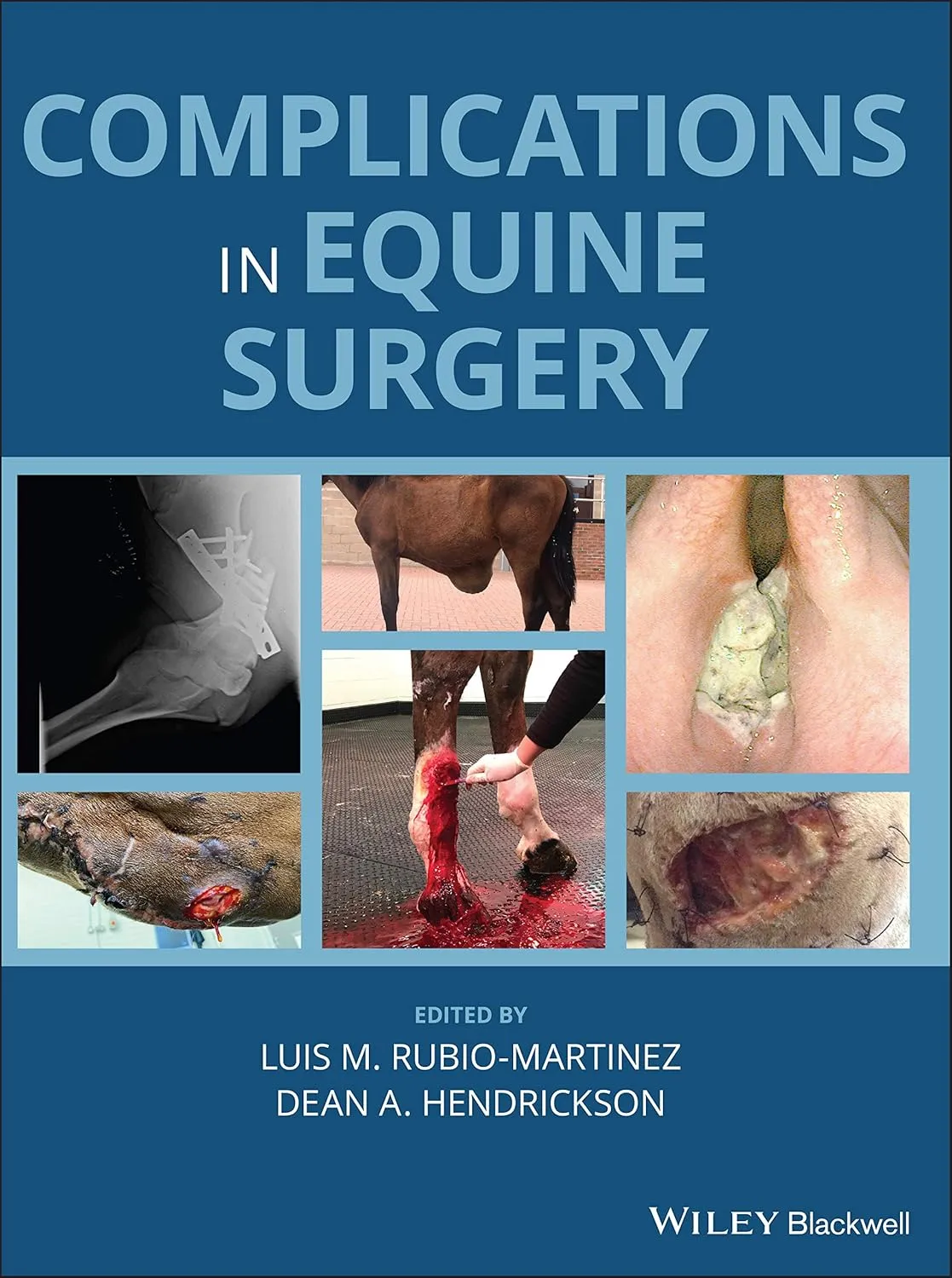 Complications In Equine Surgery | Hardcover