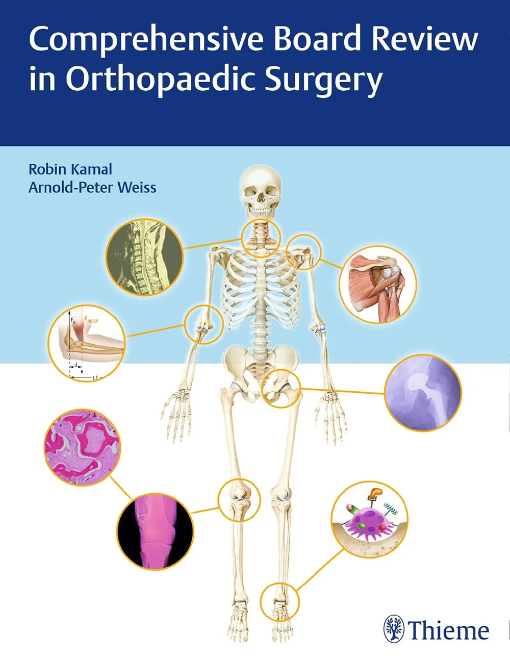Comprehensive Board Review in Orthopaedic Surgery | Paperback