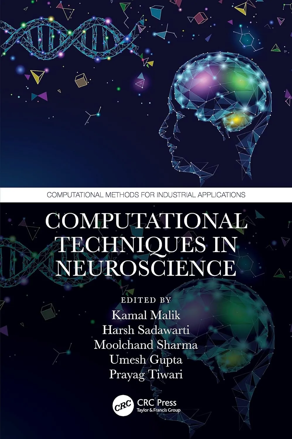 Computational Techniques In Neuroscience | Hardcover