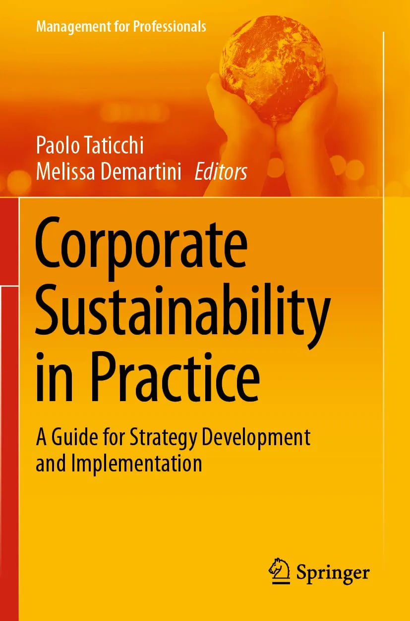 Corporate Sustainability In Practice A Guide For Strategy Development And Implementation | Paperback