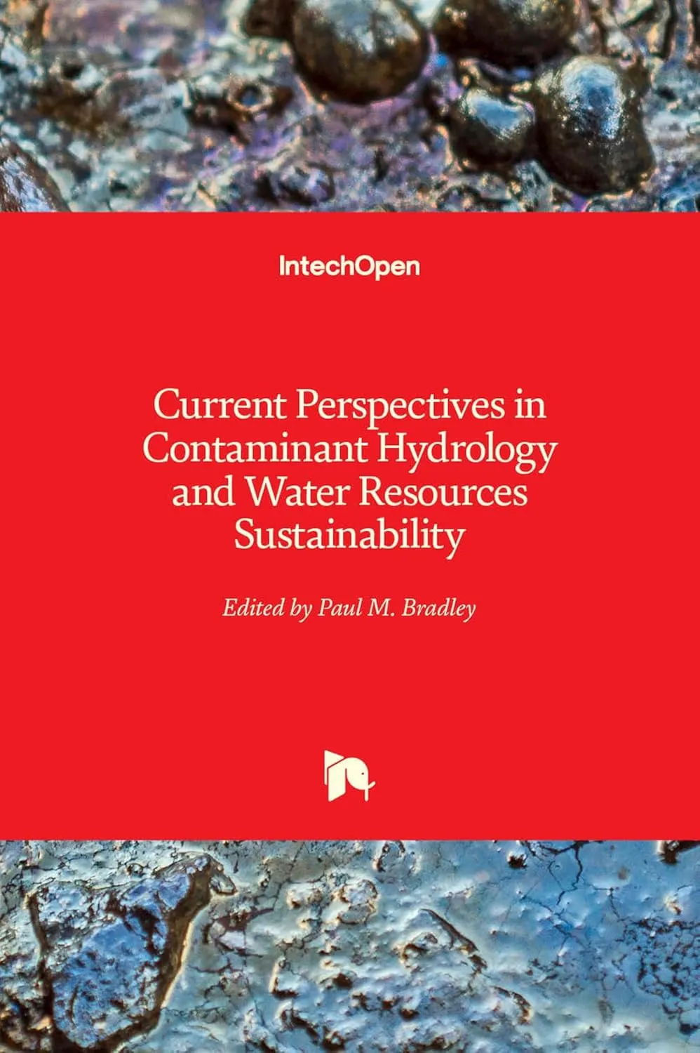 Current Perspectives In Contaminant Hydrology and Water Resources Sustainability | Hardcover