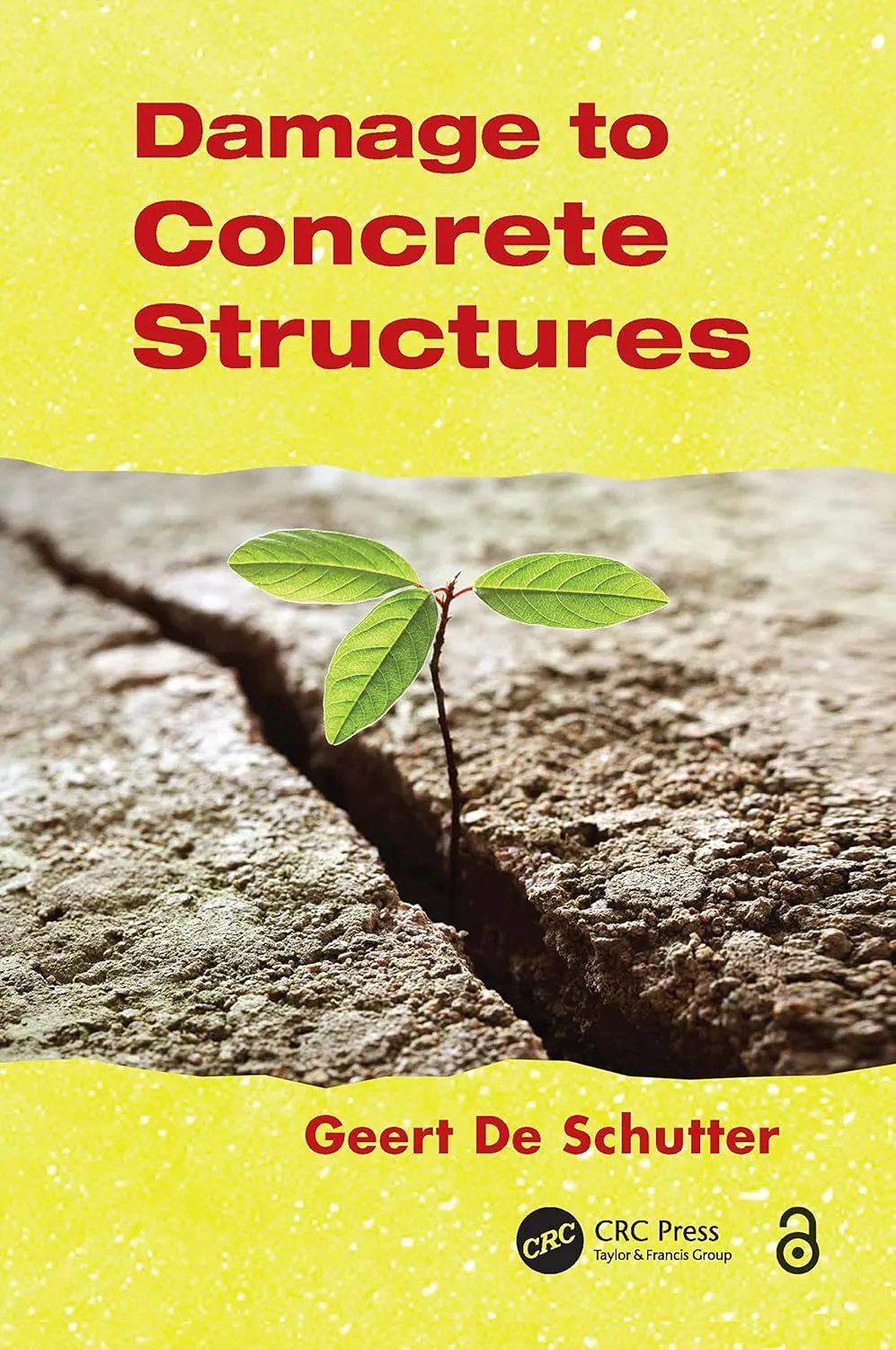 Damage to Concrete Stuctures | Paperback