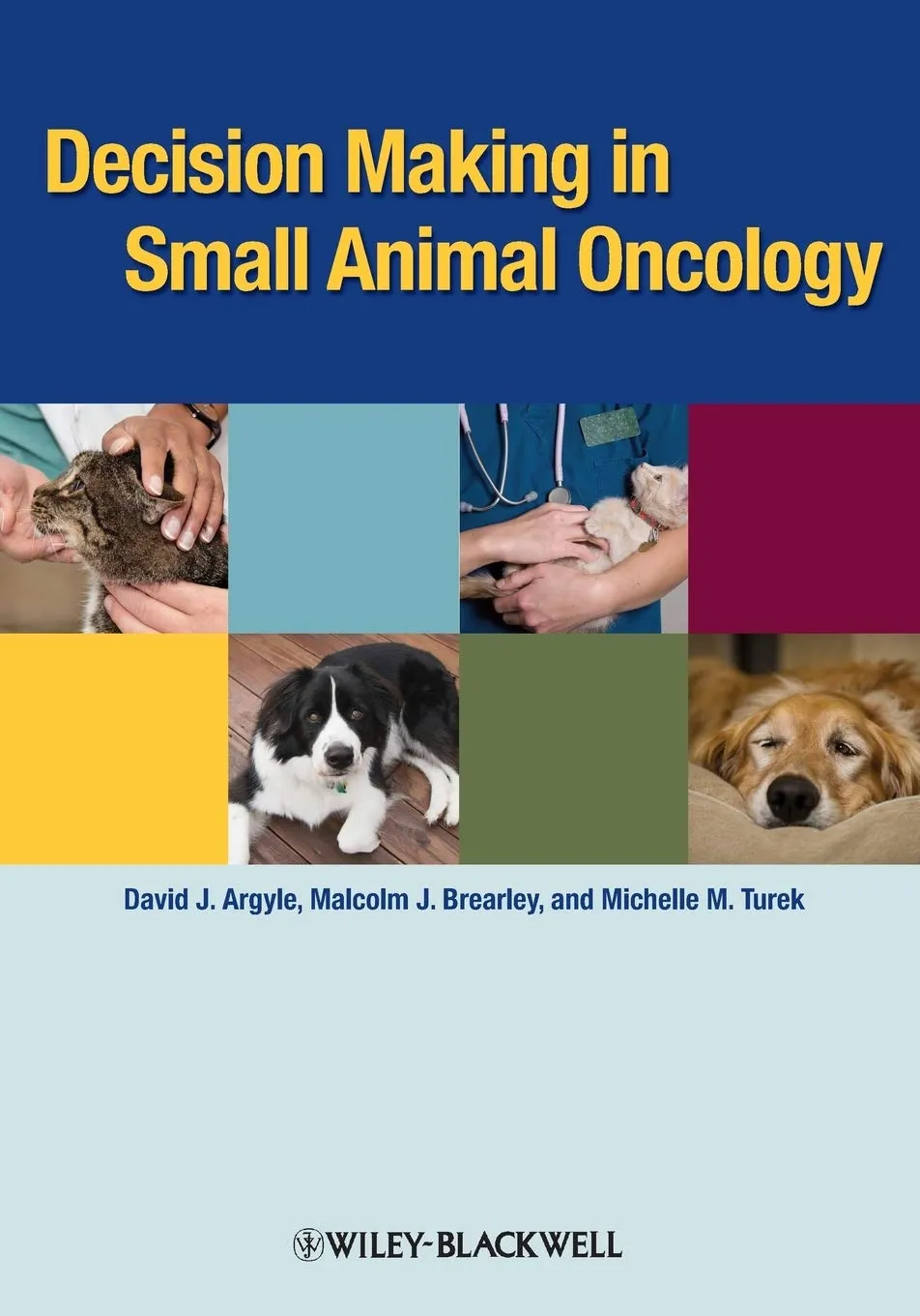 Decision Making in Small Animal Oncology | Paperback