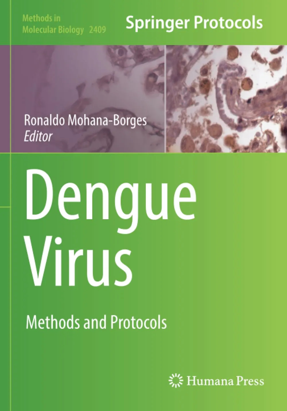 Dengue Virus Methods And Protocols | Paperback