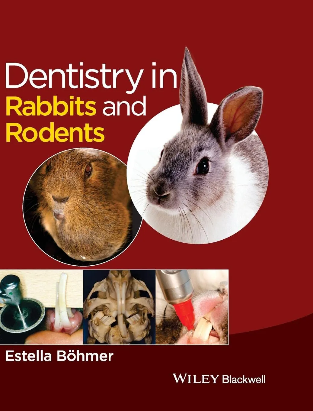 Dentistry in Rabbits and Rodents | Hardcover