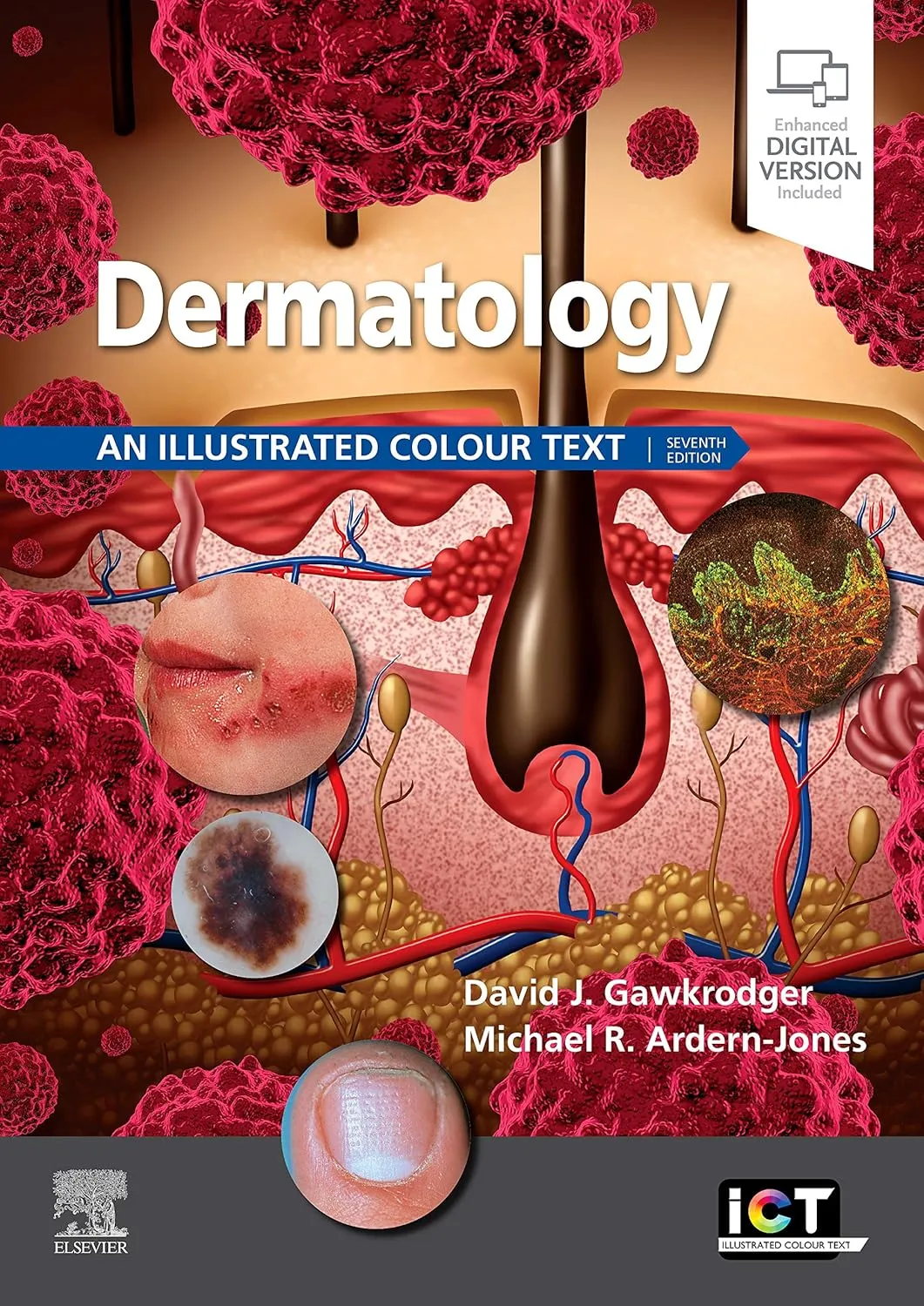 Dermatology An Illustrated Colour Text With Access Code 7th Edition | Paperback