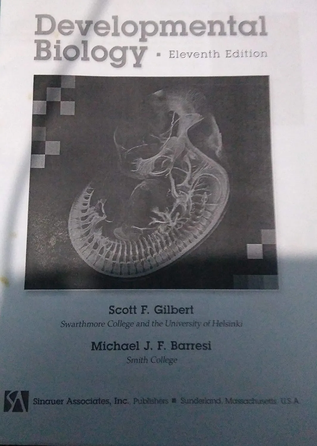 Developmental Biology | 11e | Hardcover