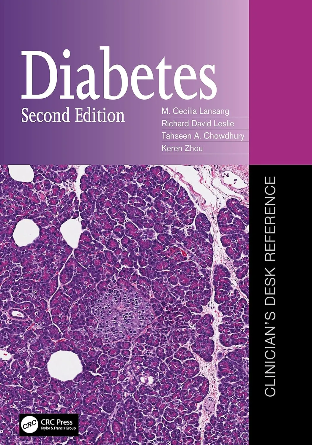 Diabetes Clinicians Desk Reference 2nd Edition | Paperback