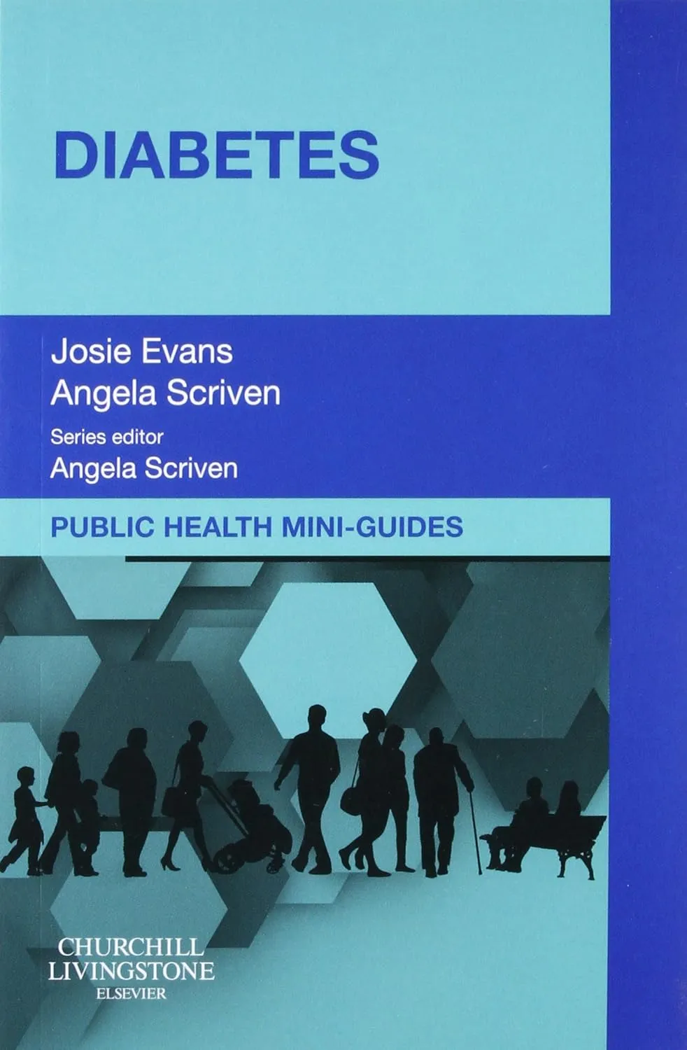 Diabetes Public Health Mini-Guides | Paperback