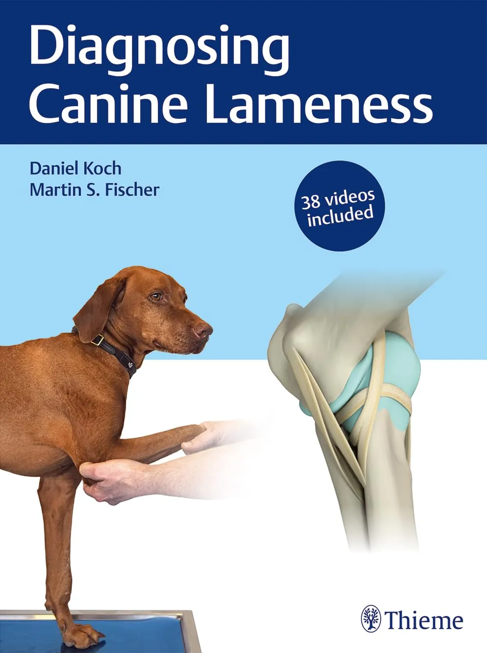 Diagnosing Canine Lameness 38 Videos Included | Hardcover